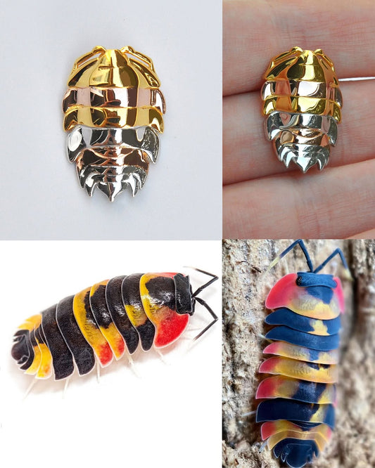 Mixed-metal isopod pendant and stacking rings next to a colorful Merulanella sp. Tricolor isopod, highlighting the intricate segmented design and vibrant multi-tone finish inspired by the natural specimen.