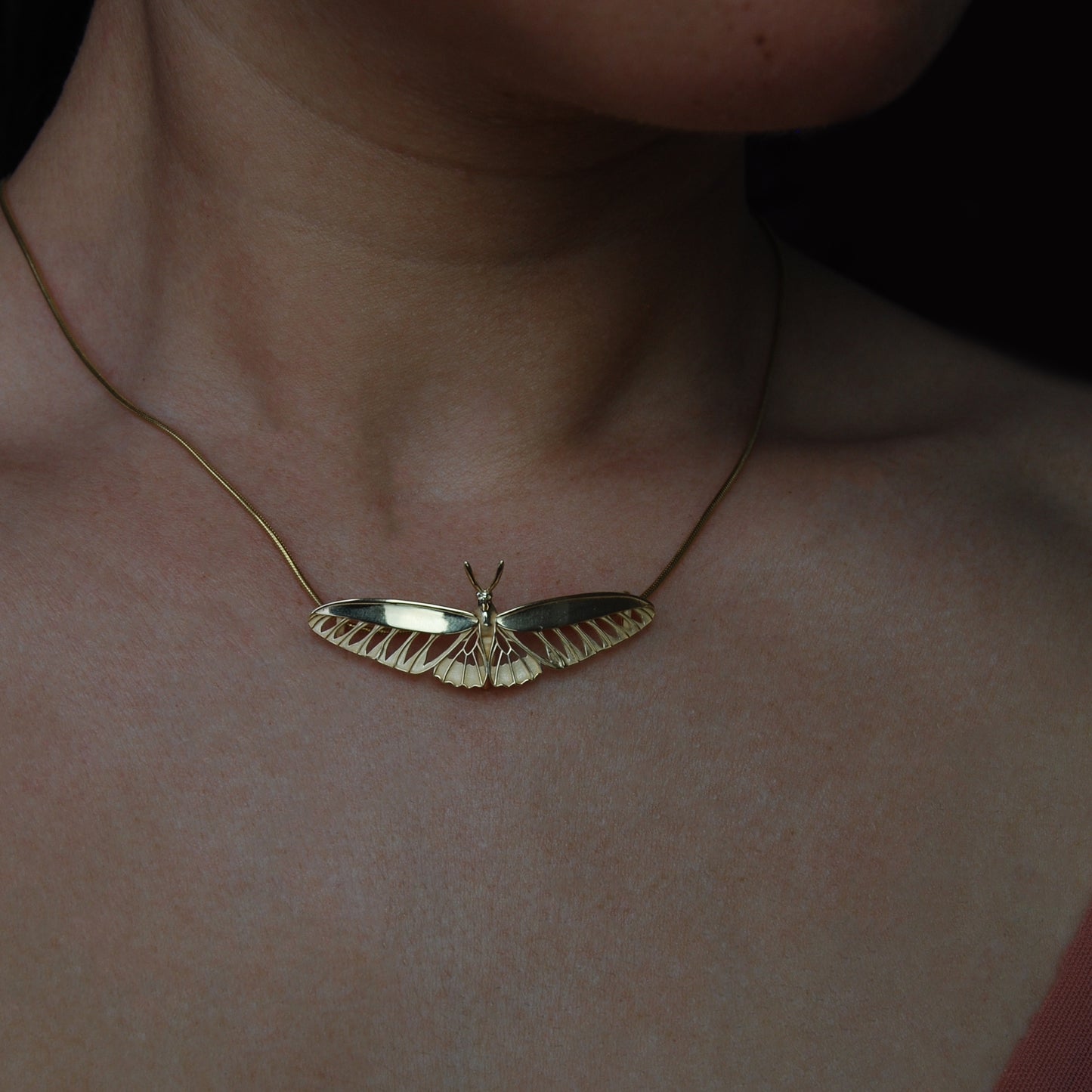 Rajah Brooke’s Birdwing Butterfly pendant