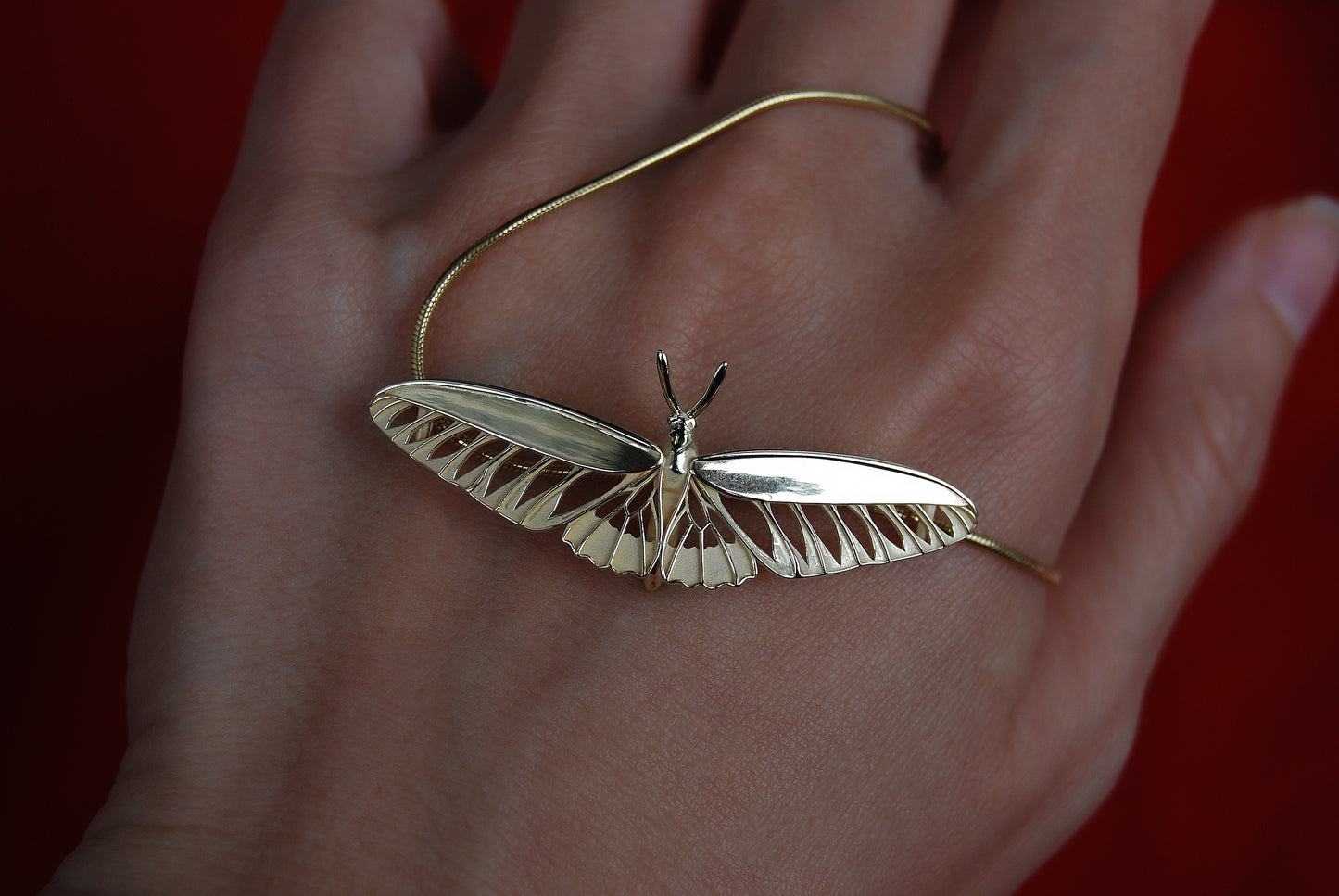 Rajah Brooke’s Birdwing Butterfly pendant