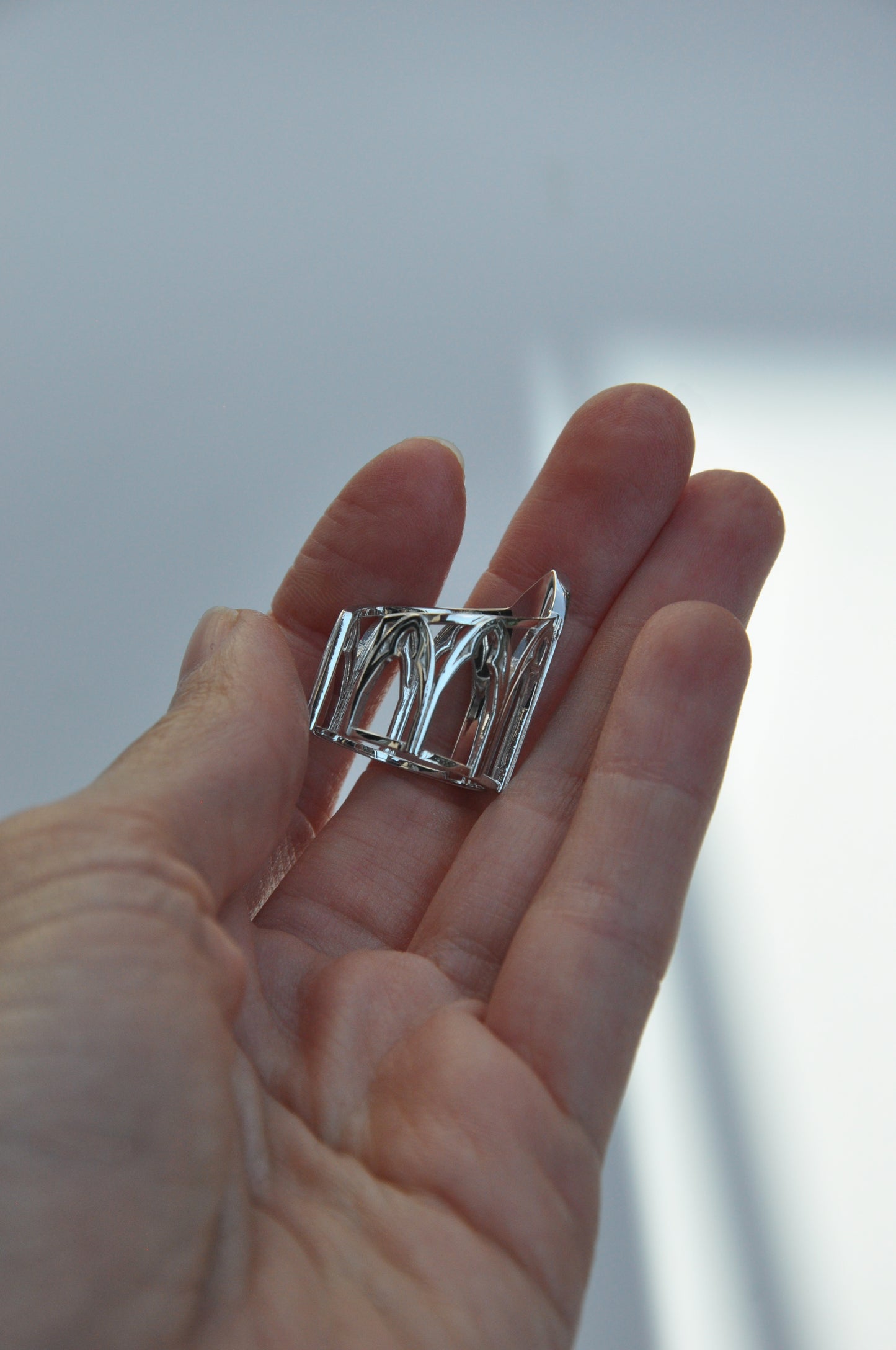 Side view of Cathedral Luna Moth ring – silver gothic band with arched cathedral motifs and Luna moth wings from the Sanctuary of Wings collection by Anna Reikher