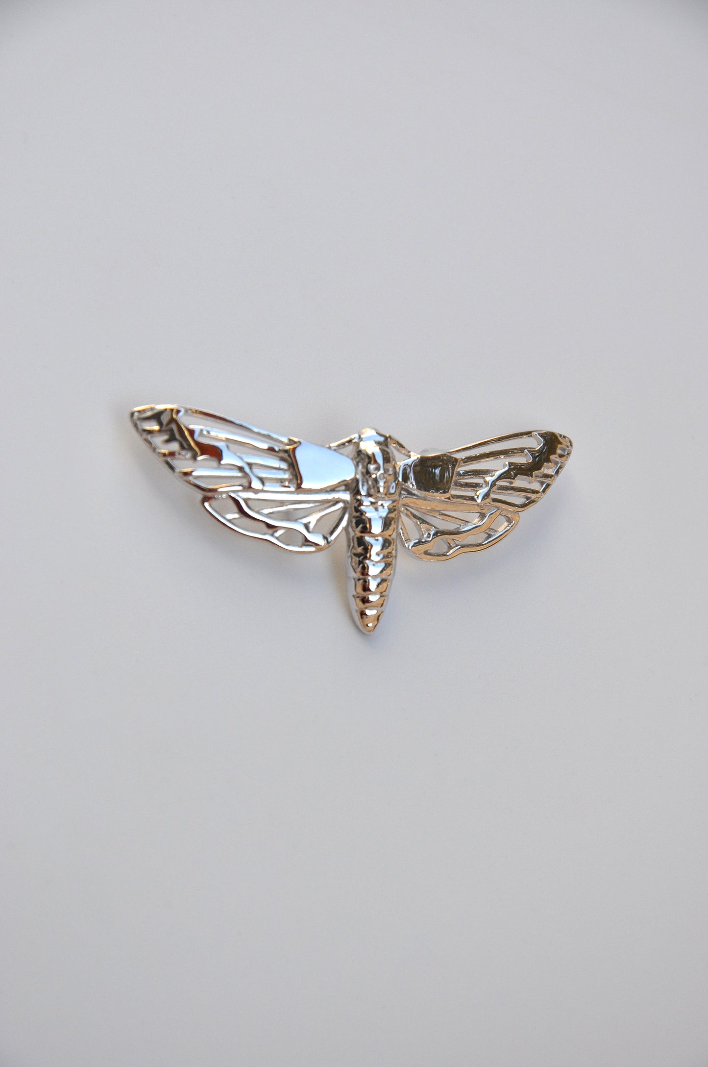 Death’s-head Hawk Moth Pendant