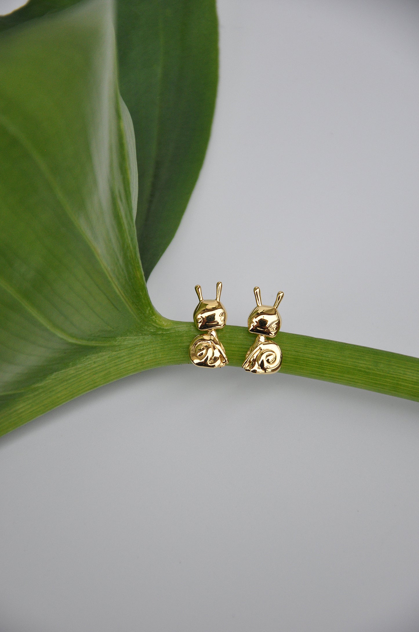 Snail Earrings