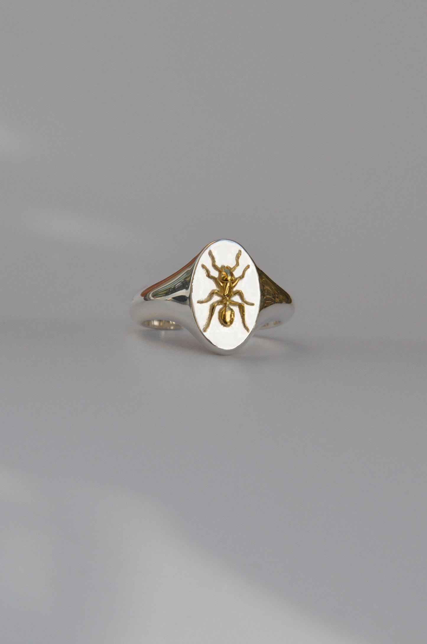 Aquarius Ant Signet Ring | Sterling Silver & Gold Plated
