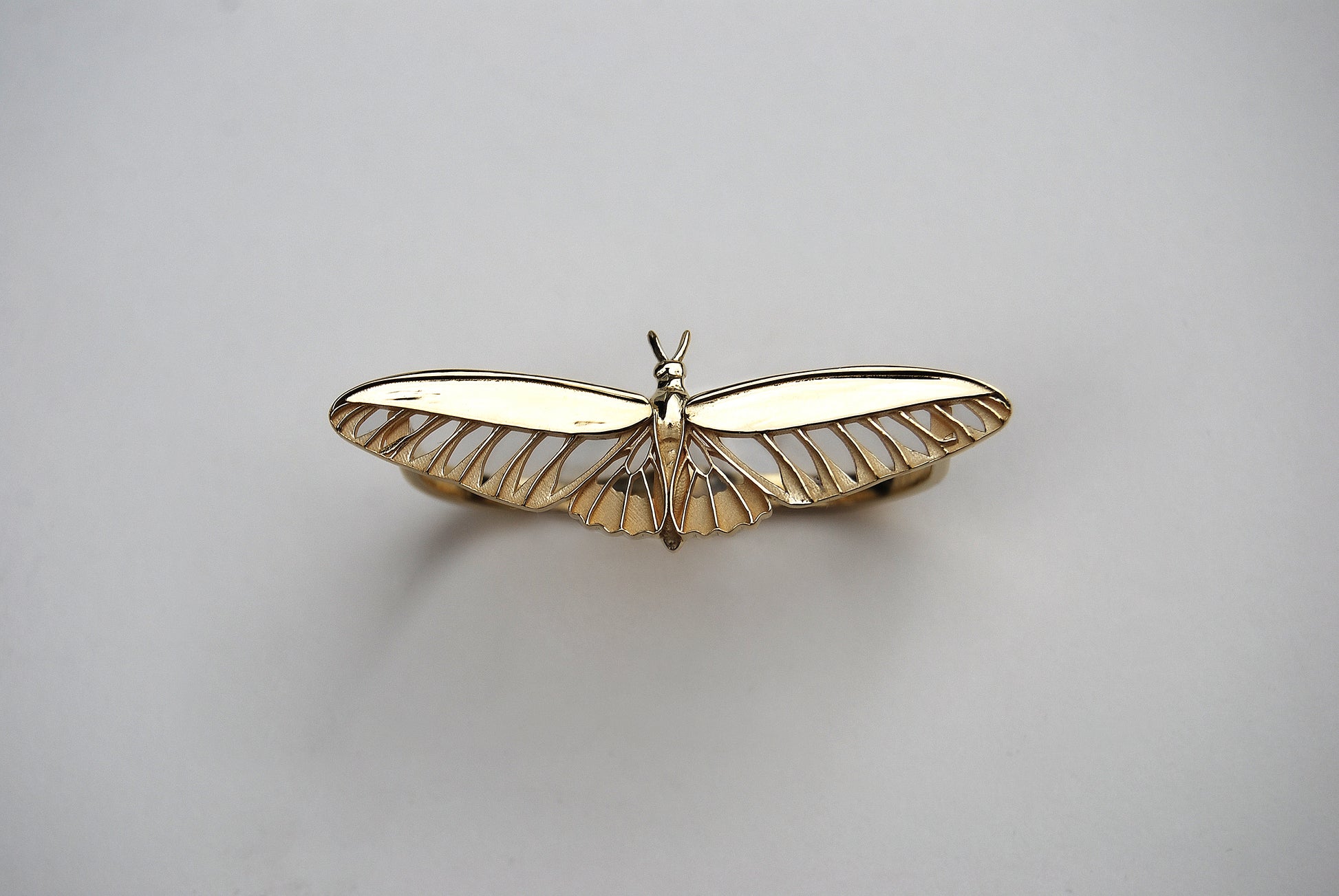 Two-Finger Butterfly Ring in 14K gold plated finish photographed on white background, modern insect jewelry.