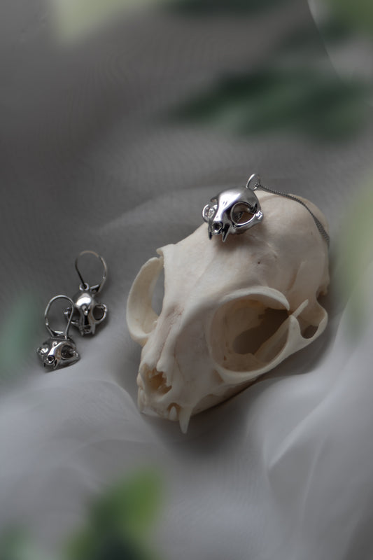 Silver feline skull pendant paired with matching earrings displayed on a real cat skull, highlighting intricate details.
