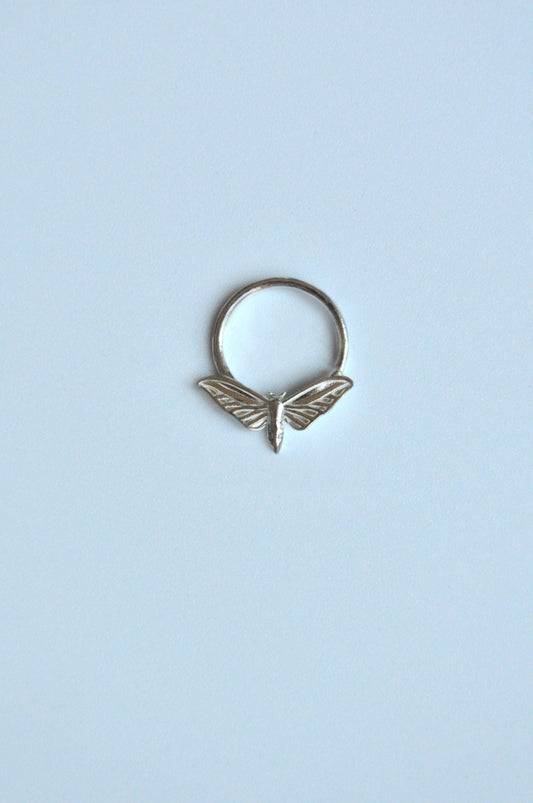 Sterling silver hawk moth septum ring with detailed insect design for nature-inspired jewelry lovers