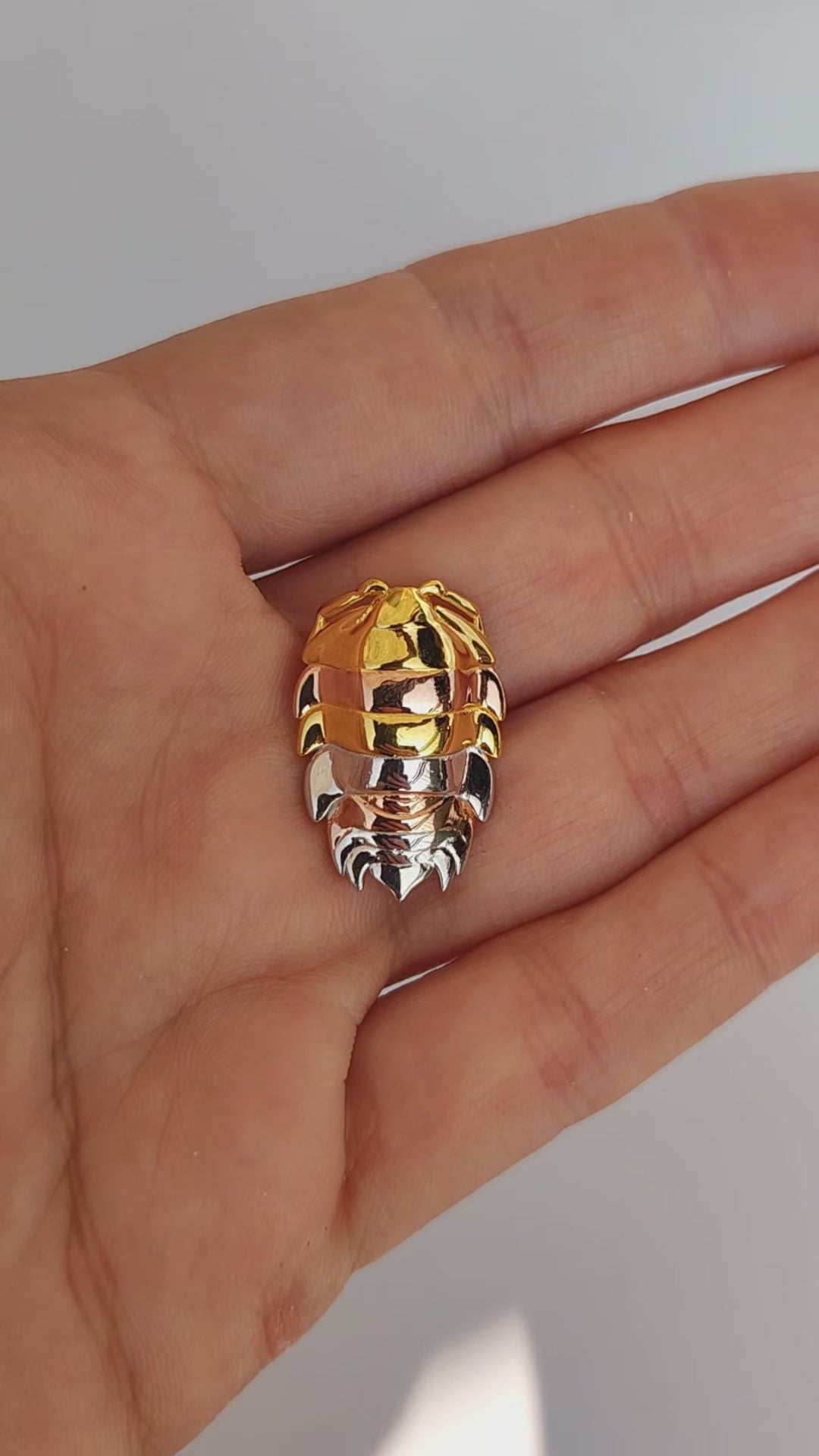 Stylish mixed metal rainbow isopod pendant combining silver and gold finishes, perfect for insect ring and bug jewelry lovers