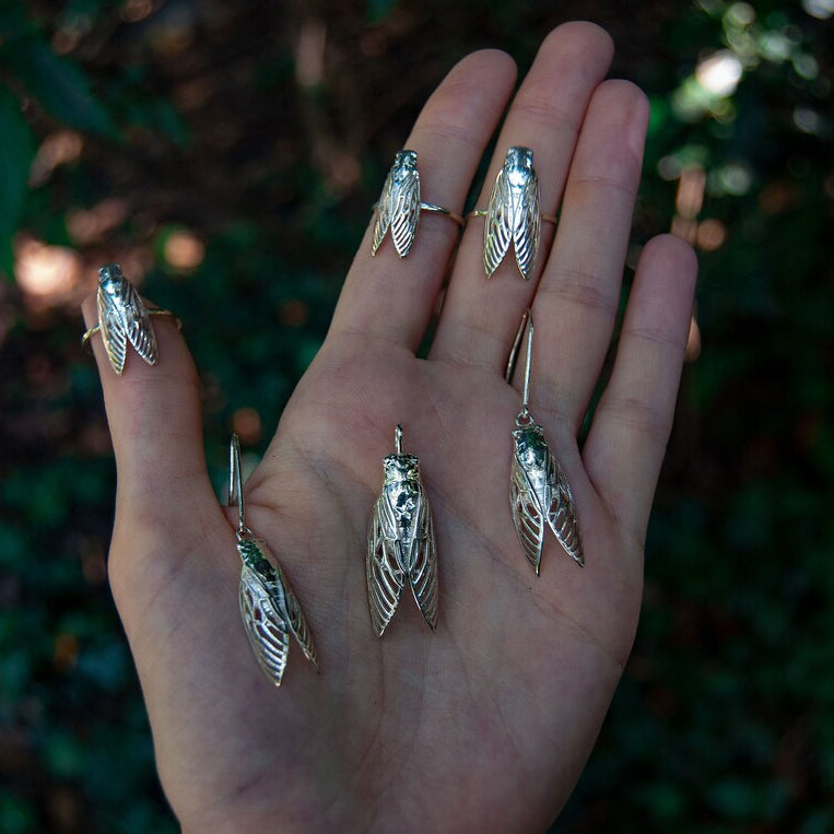 Cicada ring