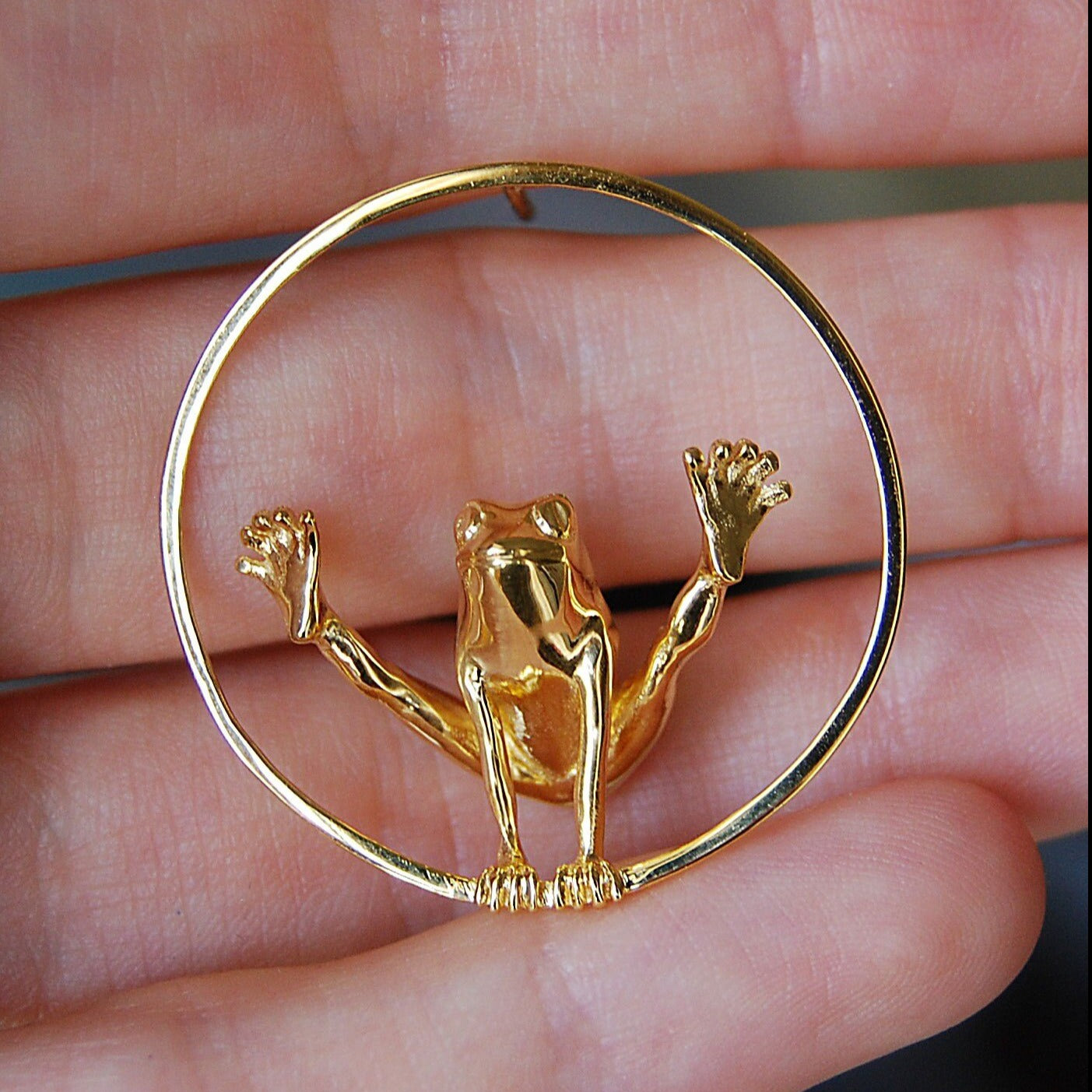 Circle Frog Hoop Earrings
