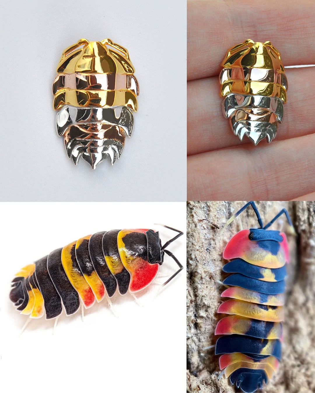 Mixed-metal isopod pendant and stacking rings next to a colorful Merulanella sp. Tricolor isopod, highlighting the intricate segmented design and vibrant multi-tone finish inspired by the natural specimen.