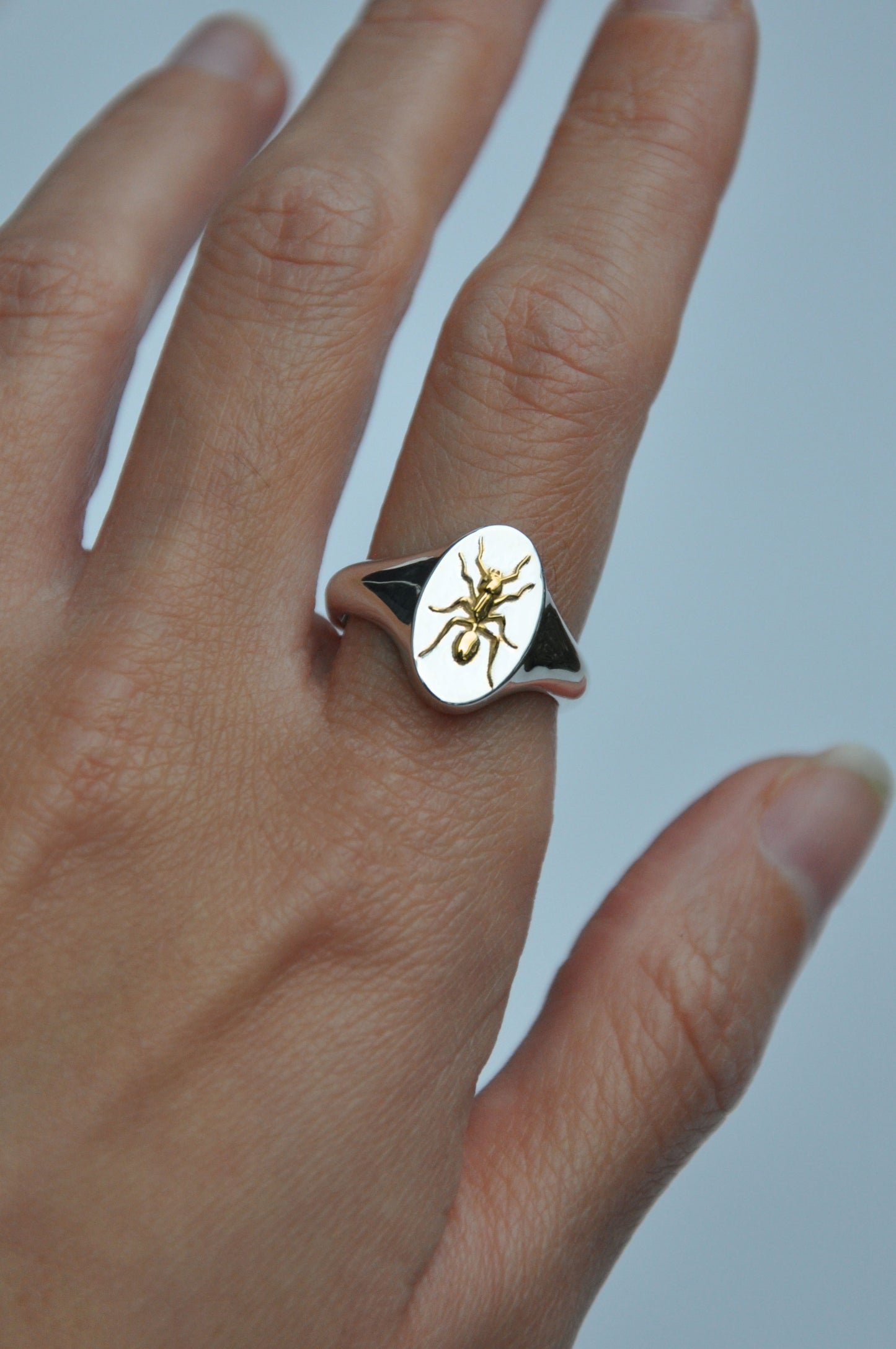 Aquarius Ant Signet Ring | Sterling Silver & Gold Plated