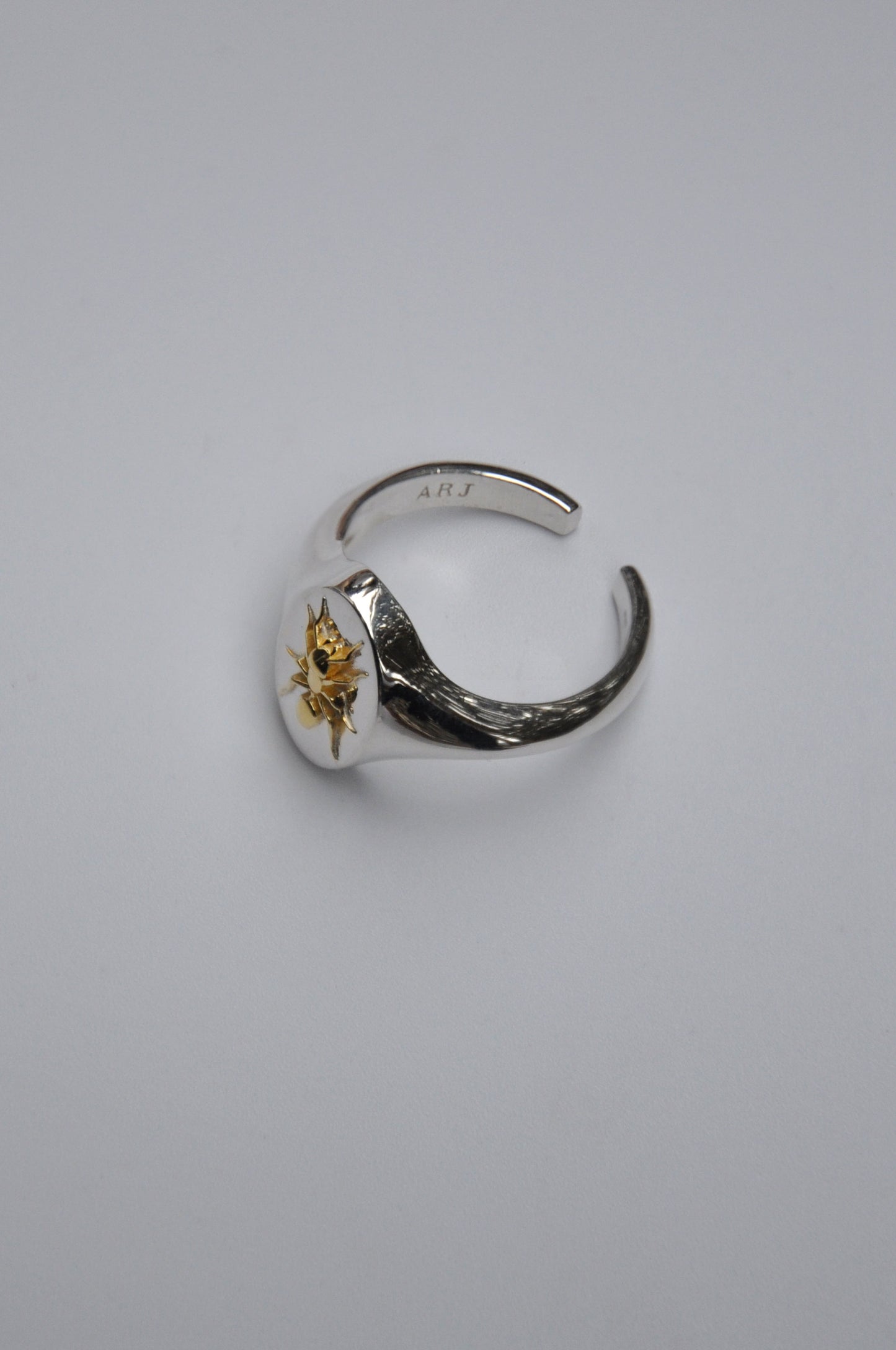 Aquarius Ant Signet Ring | Sterling Silver & Gold Plated