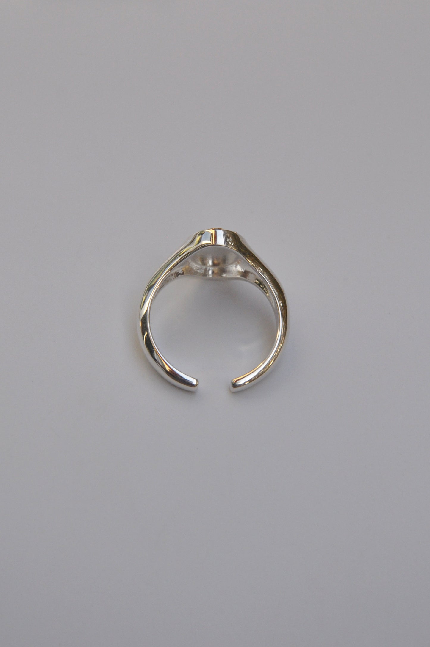 Pisces Grasshopper Signet Ring | Sterling Silver & Gold Plated