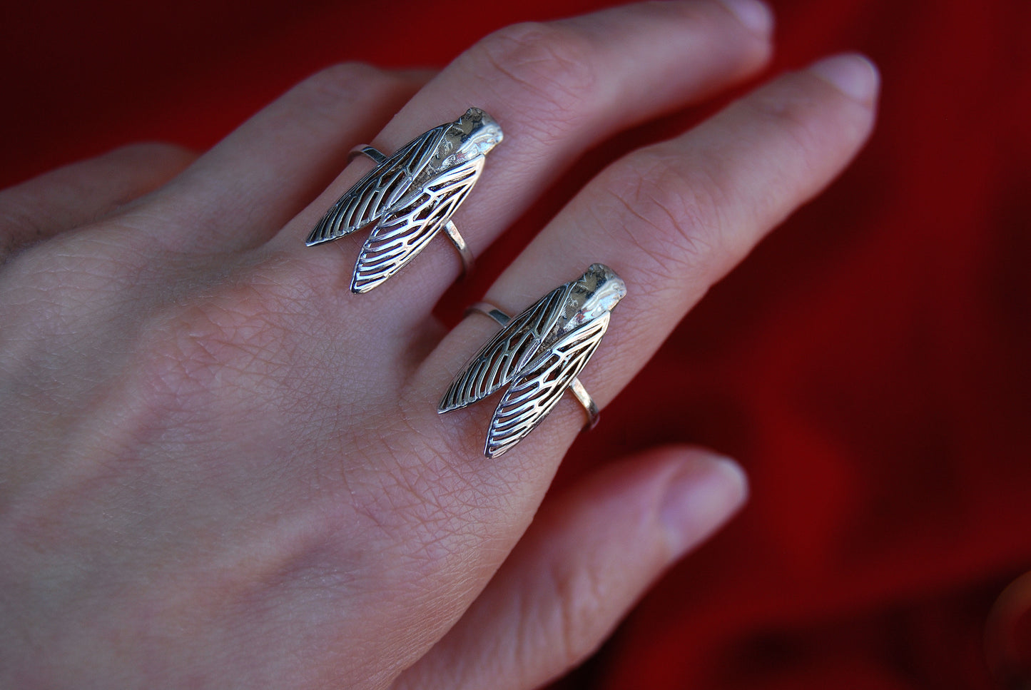 Cicada ring