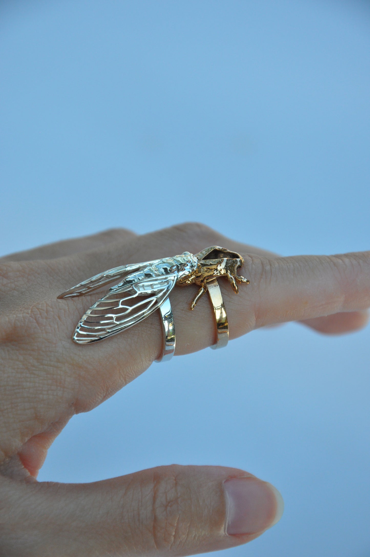 Cicada & Cicada shell Stacking Rings