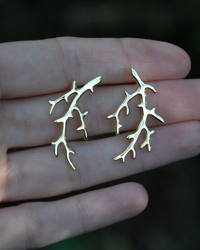 Coral Earrings