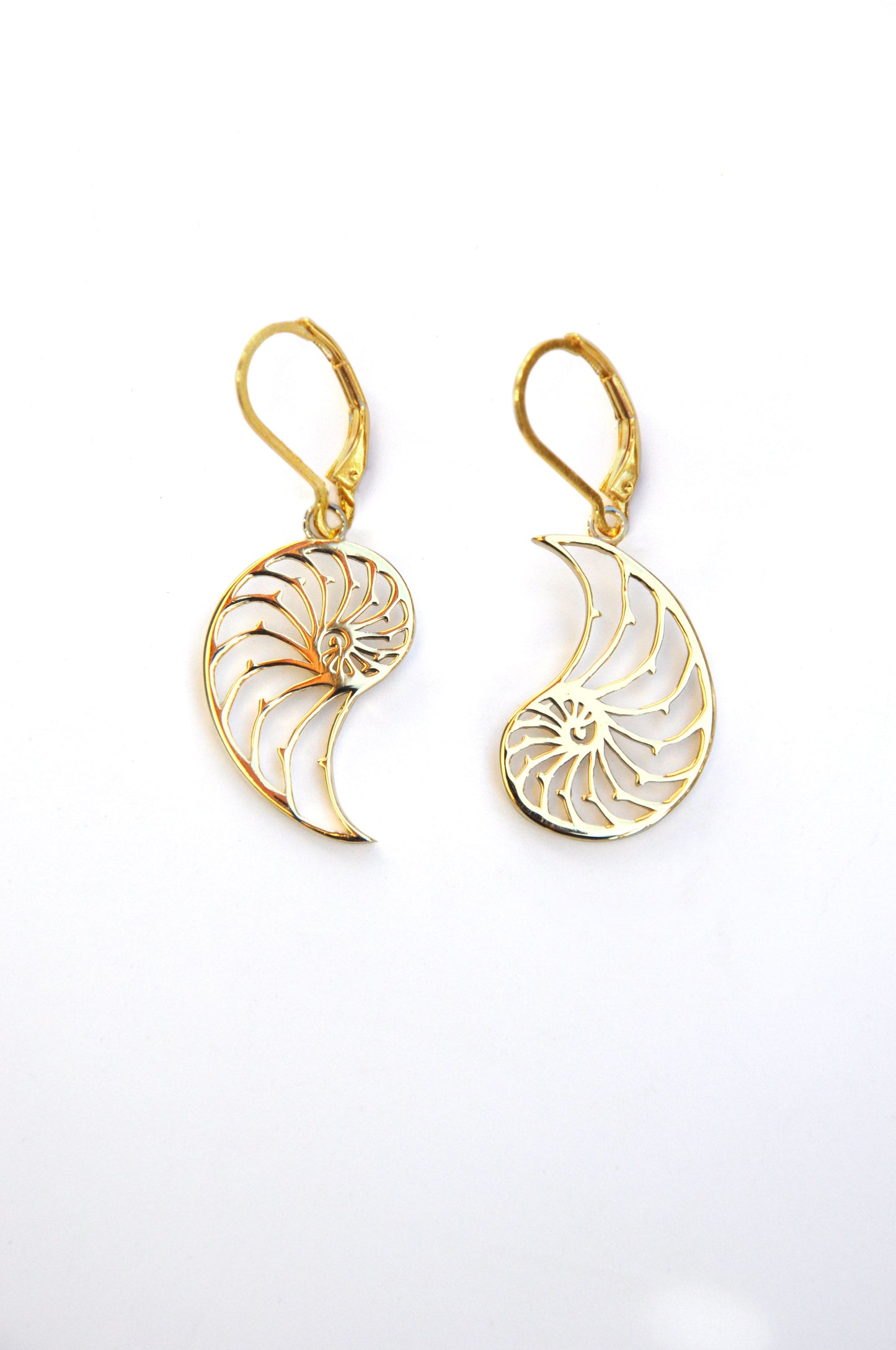 Nautilus Unity Earrings