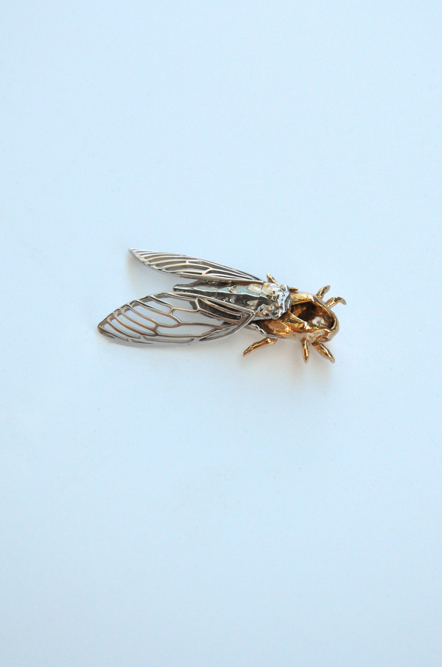 Handmade cicada and shell pendant necklace, perfect for insect jewelry lovers