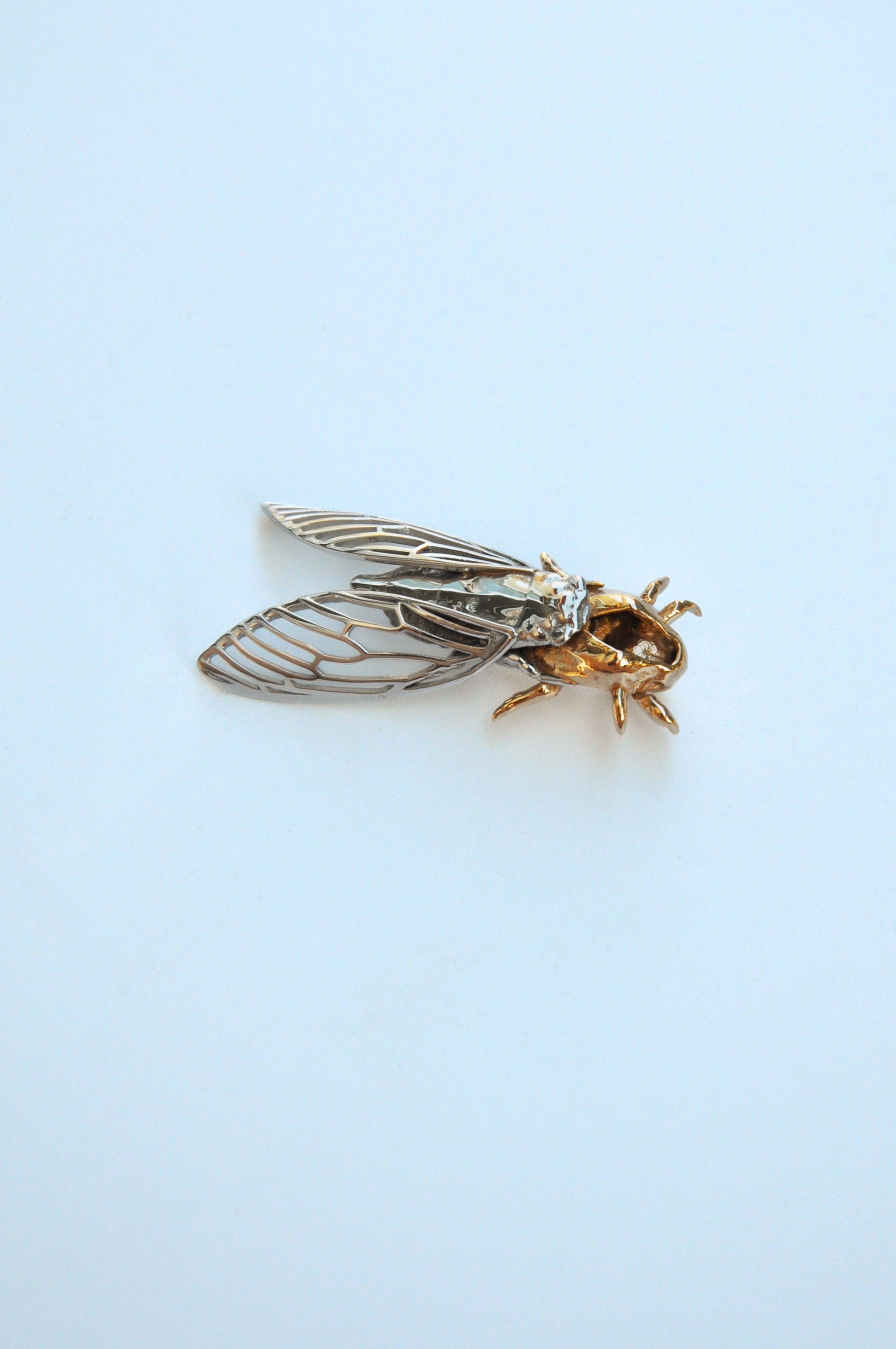 Handmade cicada and shell pendant necklace, perfect for insect jewelry lovers