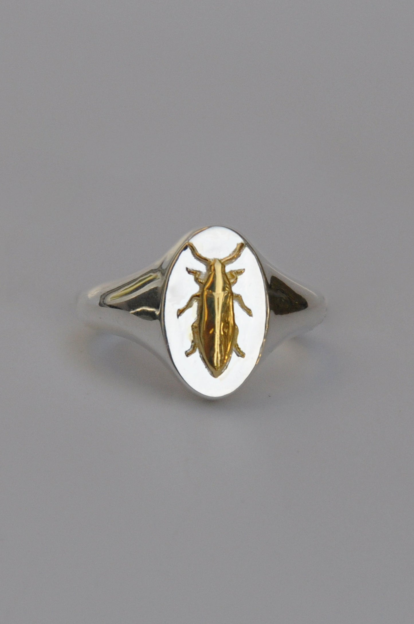 Taurus Jewel Beetle Signet Ring | Sterling Silver & Gold Plated