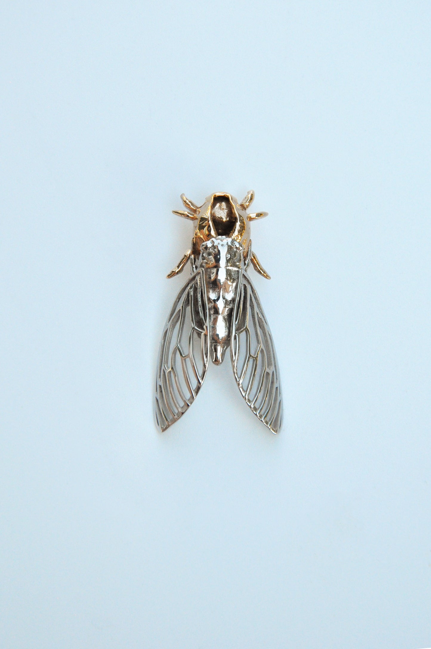 Sterling silver cicada pendant attached to realistic cicada shell necklace