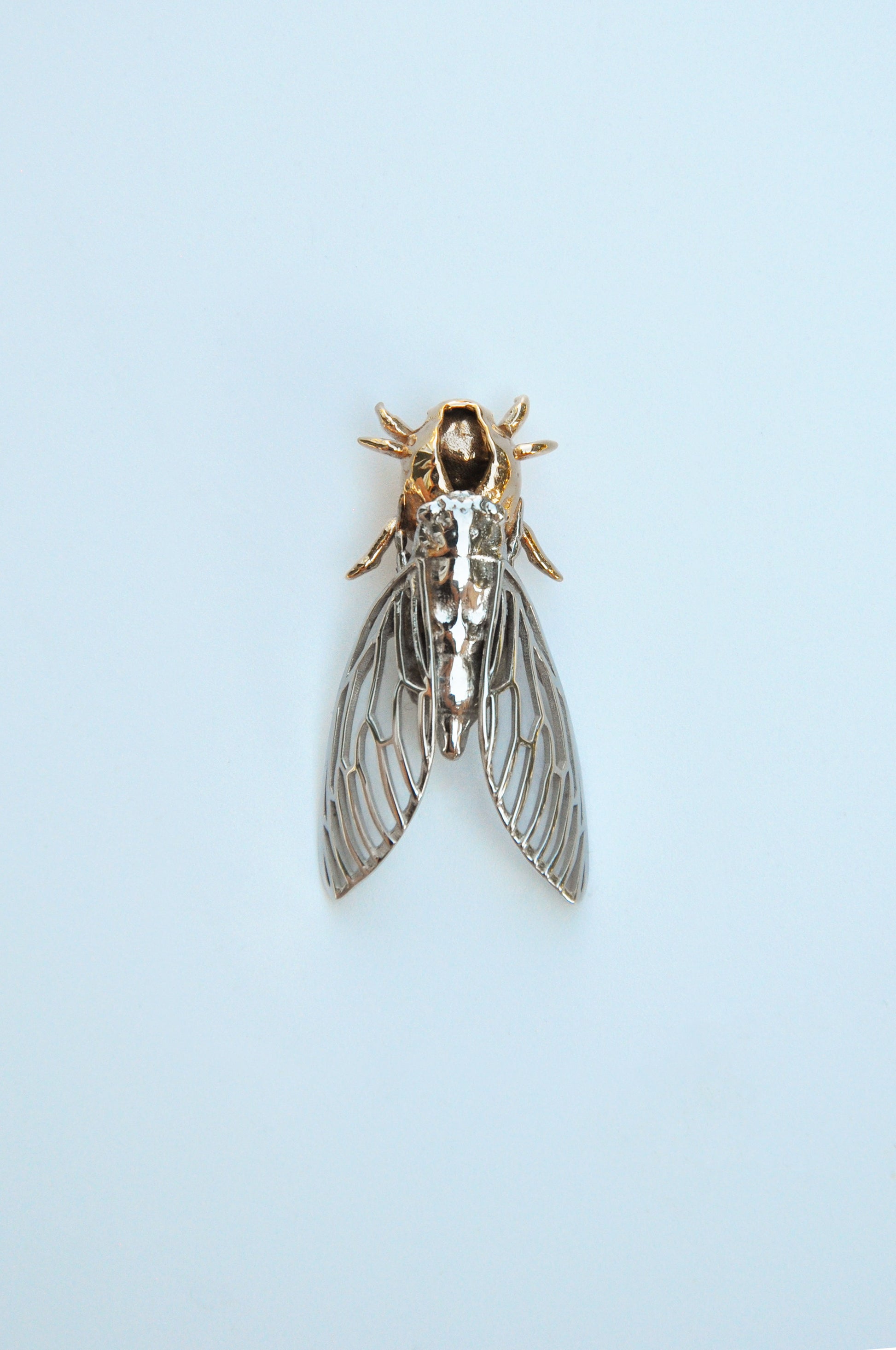 Sterling silver cicada pendant attached to realistic cicada shell necklace