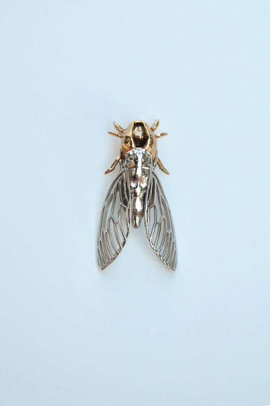Sterling silver cicada pendant attached to realistic cicada shell necklace