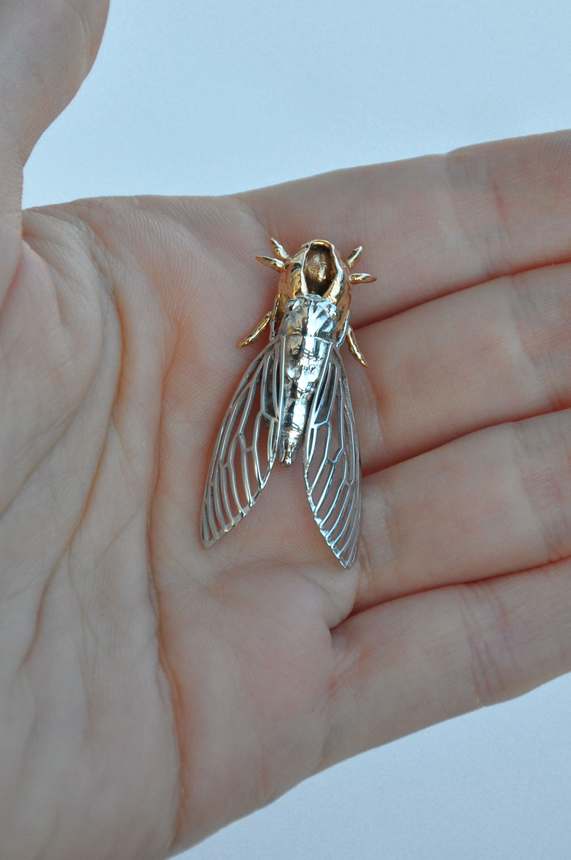 Unique cicada and shell pendant jewelry, ideal gift for insect lovers