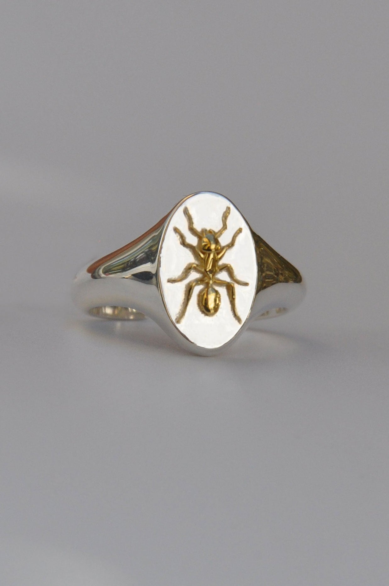 Aquarius Ant Signet Ring | Sterling Silver & Gold Plated