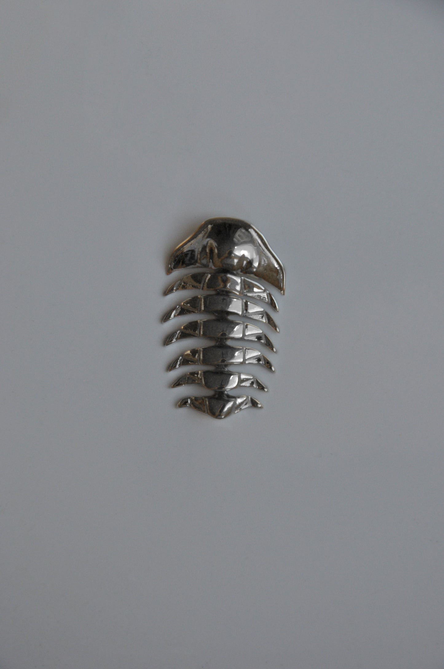 Front view of the black rhodium-plated articulated trilobite pendant set against a grey background. The dark, lustrous finish enhances the fossil-inspired segments, creating a bold, contemporary look that blends ancient design with modern edge.