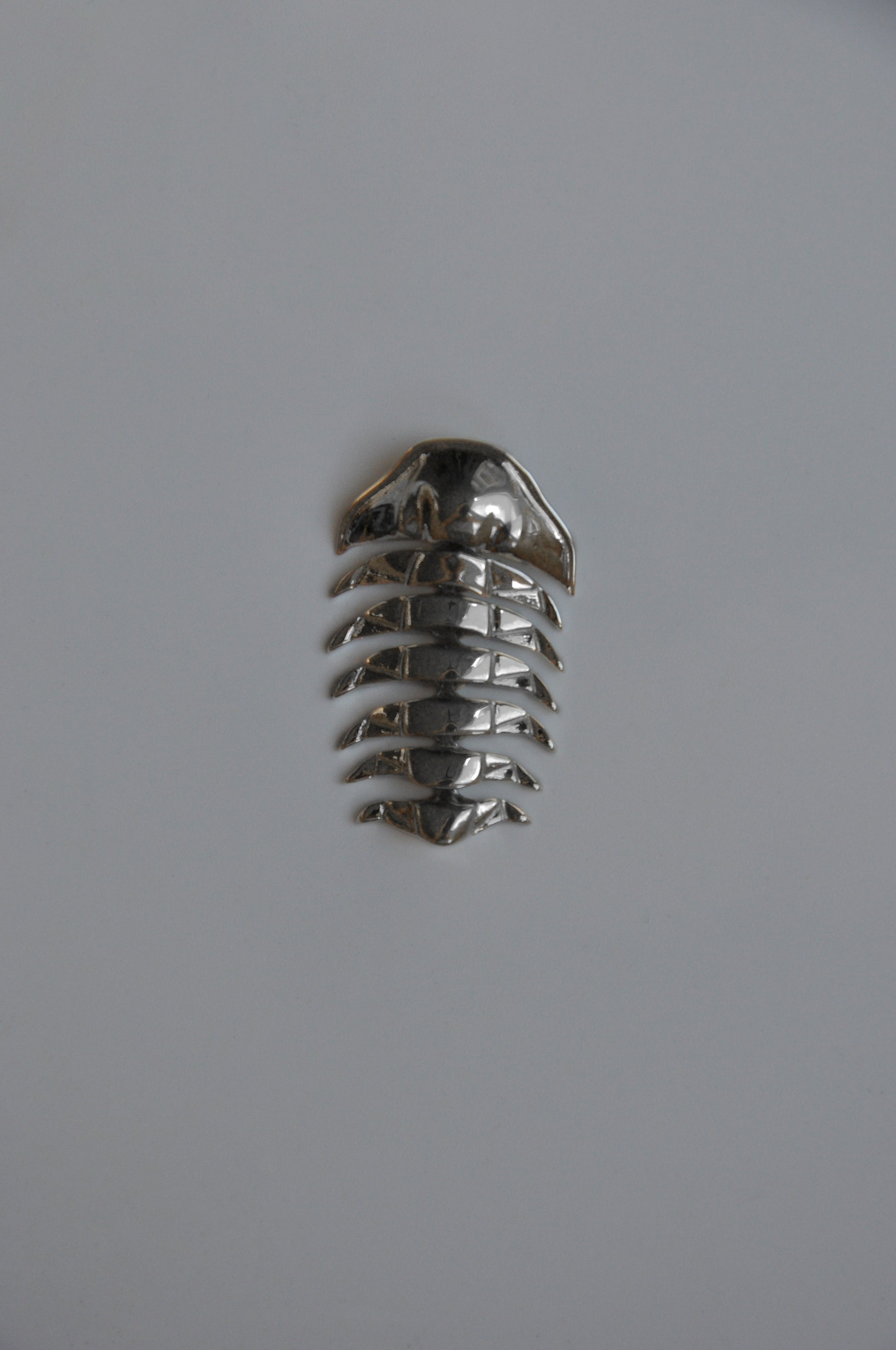 Front view of the black rhodium-plated articulated trilobite pendant set against a grey background. The dark, lustrous finish enhances the fossil-inspired segments, creating a bold, contemporary look that blends ancient design with modern edge.