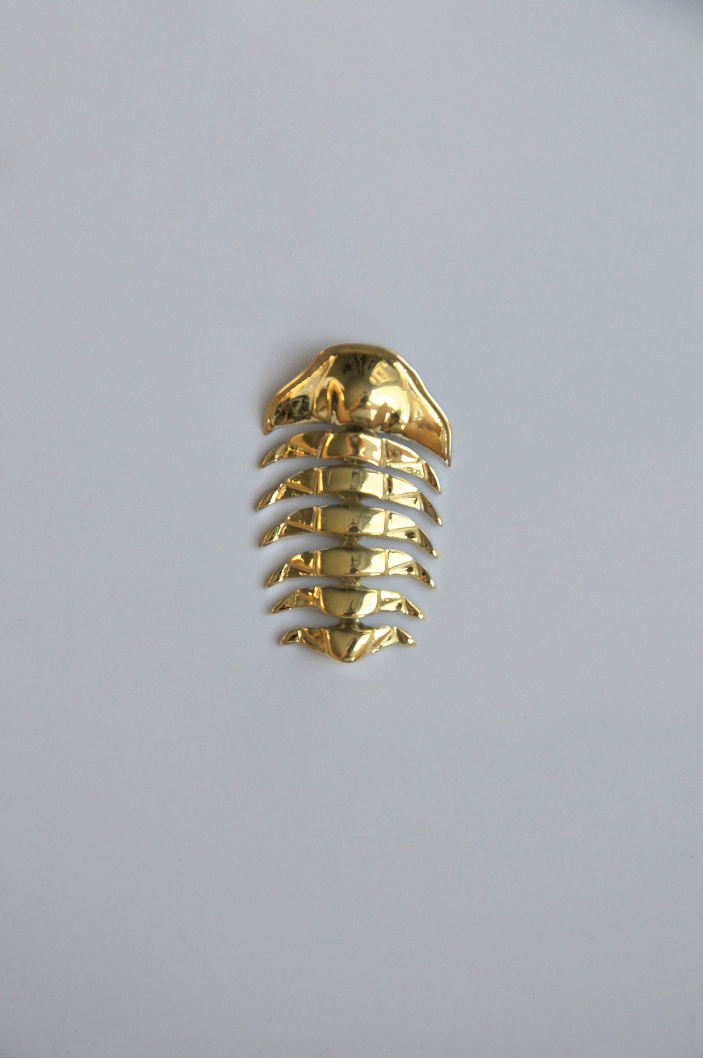 14k gold-plated articulated trilobite pendant displayed on a white background. The pendant’s segmented body gleams with a warm, polished gold finish, highlighting its fossil-inspired design and fluid movement. A modern tribute to ancient marine life, crafted with precision and elegance.