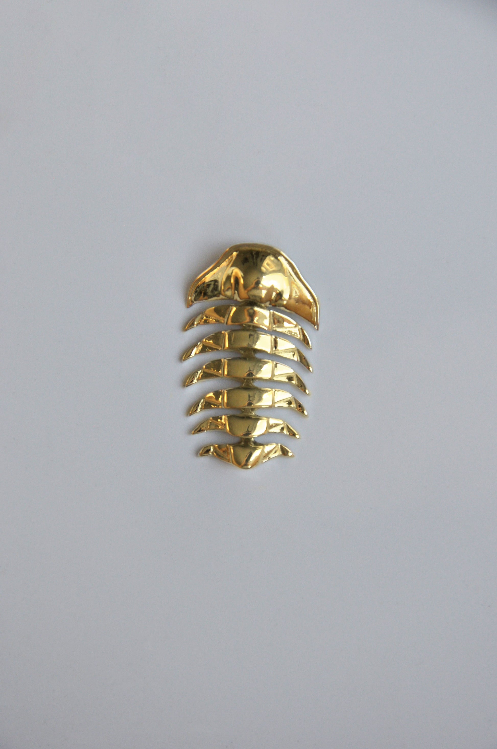 14k gold-plated articulated trilobite pendant displayed on a white background. The pendant’s segmented body gleams with a warm, polished gold finish, highlighting its fossil-inspired design and fluid movement. A modern tribute to ancient marine life, crafted with precision and elegance.