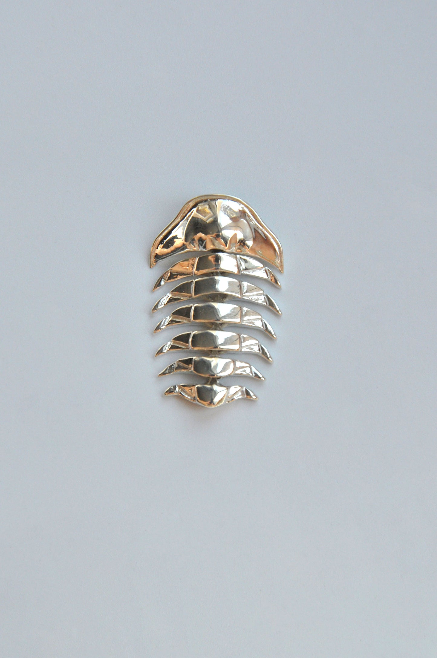 Sterling silver articulated trilobite pendant displayed on a white background. The pendant features segmented, movable sections that mimic the natural symmetry of the prehistoric trilobite fossil. Its sleek, polished finish highlights the craftsmanship and modern design inspired by ancient marine life.