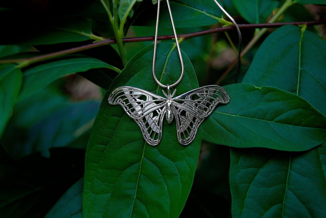 Silver Atlas Moth Pendant photographed in nature among leaves, highlighting organic inspiration and delicate detail.