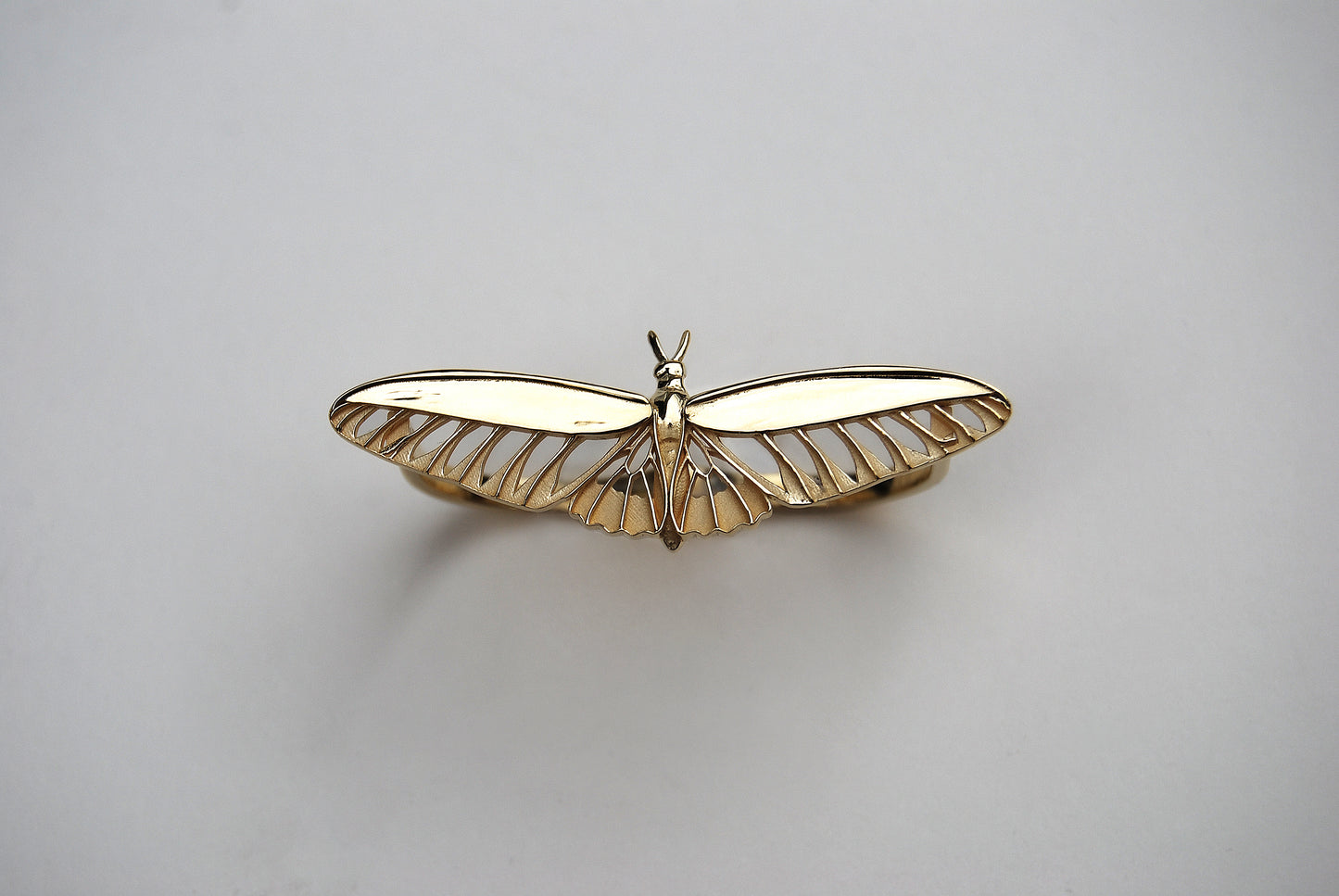Two-Finger Butterfly Ring in 14K gold plated finish photographed on white background, modern insect jewelry.