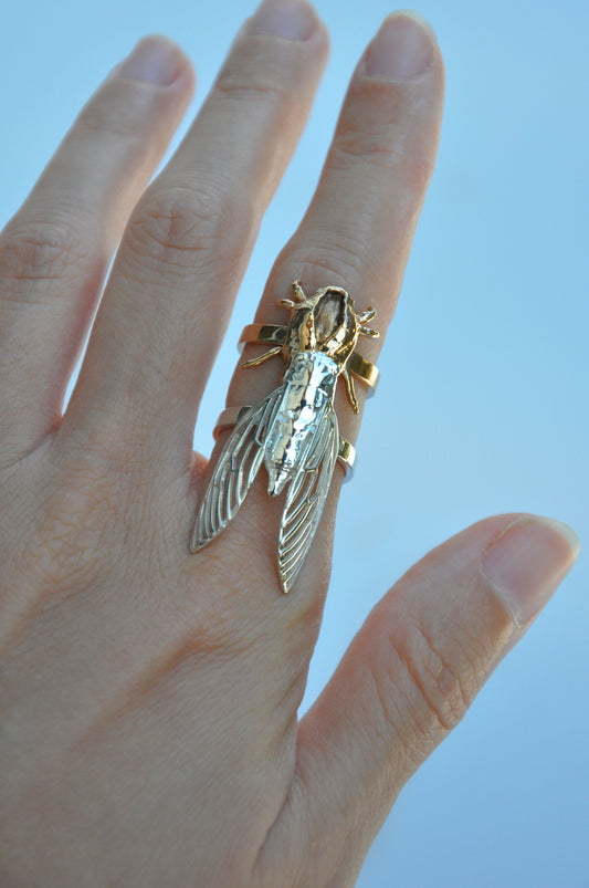 Sterling silver cicada and cicada shell stacking rings, nature-inspired jewelry