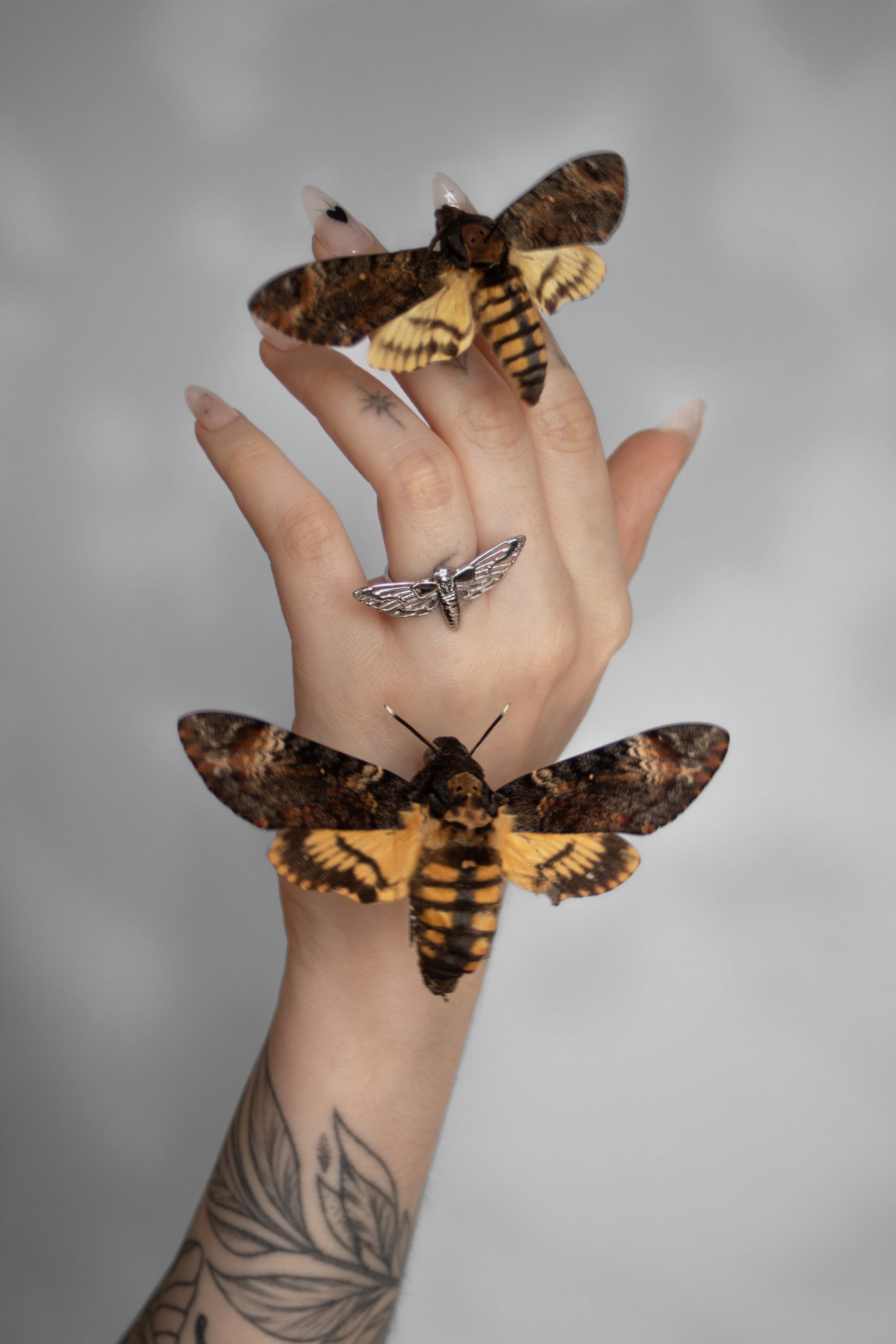 Side view of a model wearing the silver Death’s-Head Hawk Moth Ring, emphasizing its bold gothic design