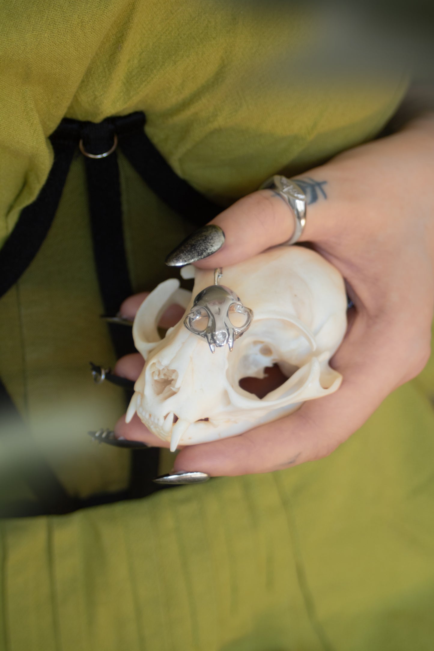 Hand holding the silver feline skull pendant next to a real cat skull, emphasizing the inspiration behind the design.