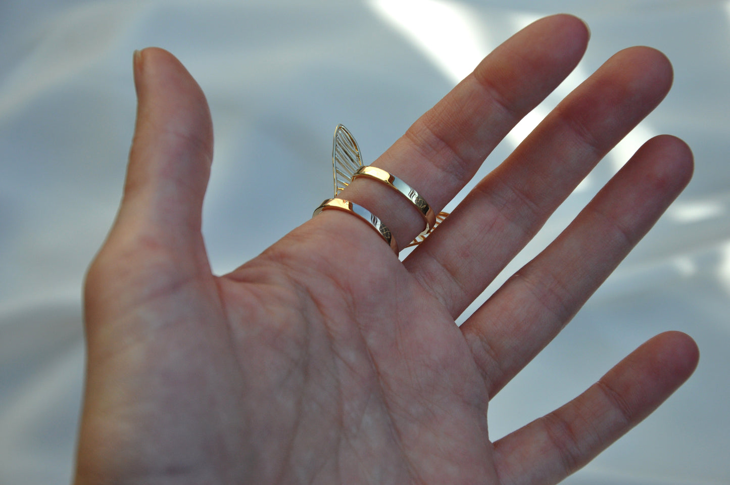 Hercules Beetle Stacking Rings