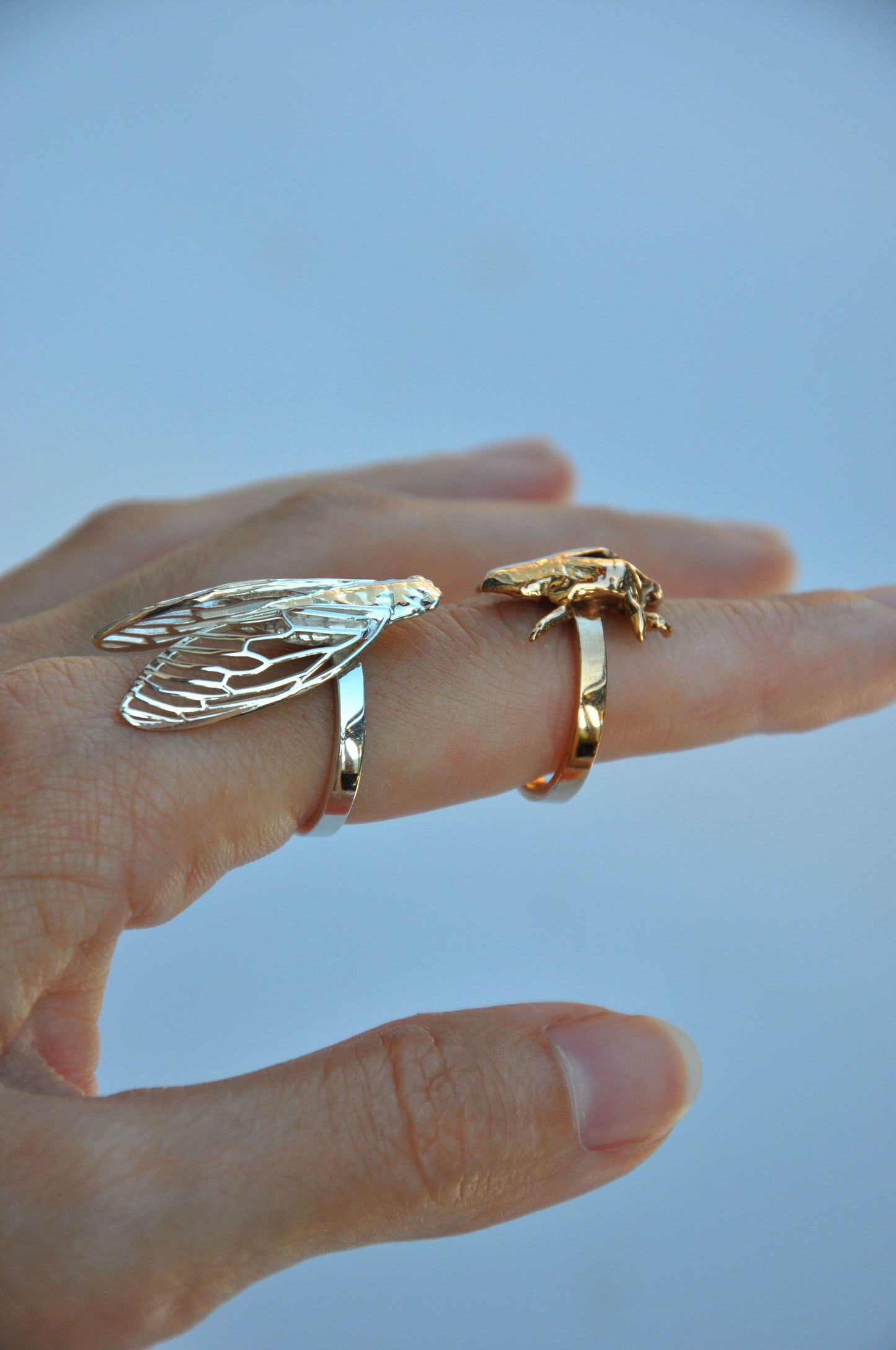 Close-up of stackable cicada shell rings, delicate insect jewelry
