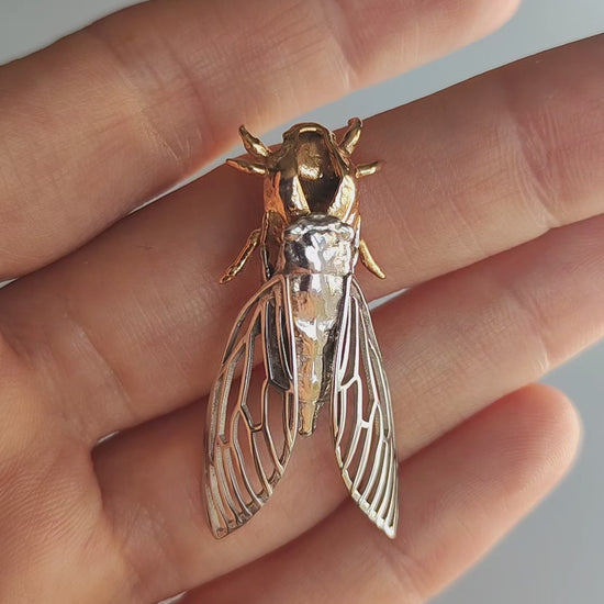 Unique cicada and cicada shell pendant jewelry, handcrafted insect design