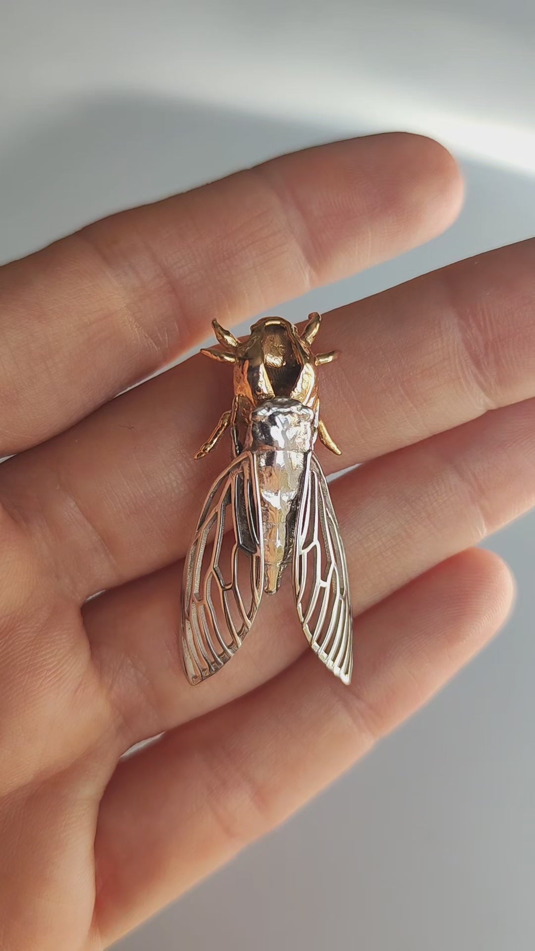 Unique cicada and cicada shell pendant jewelry, handcrafted insect design