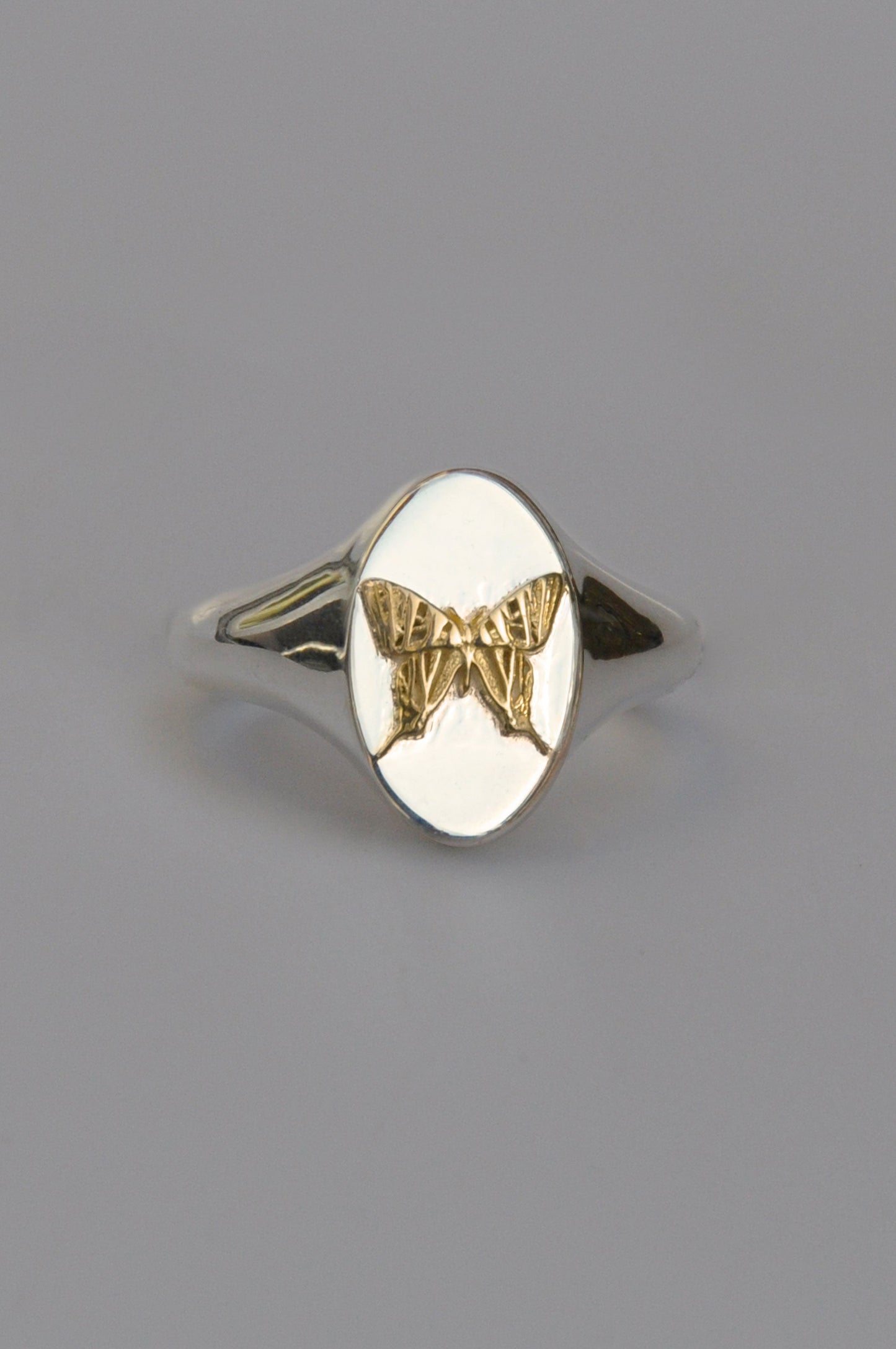 Leo Swallowtail Butterfly Signet Ring | Sterling Silver & Gold Plated