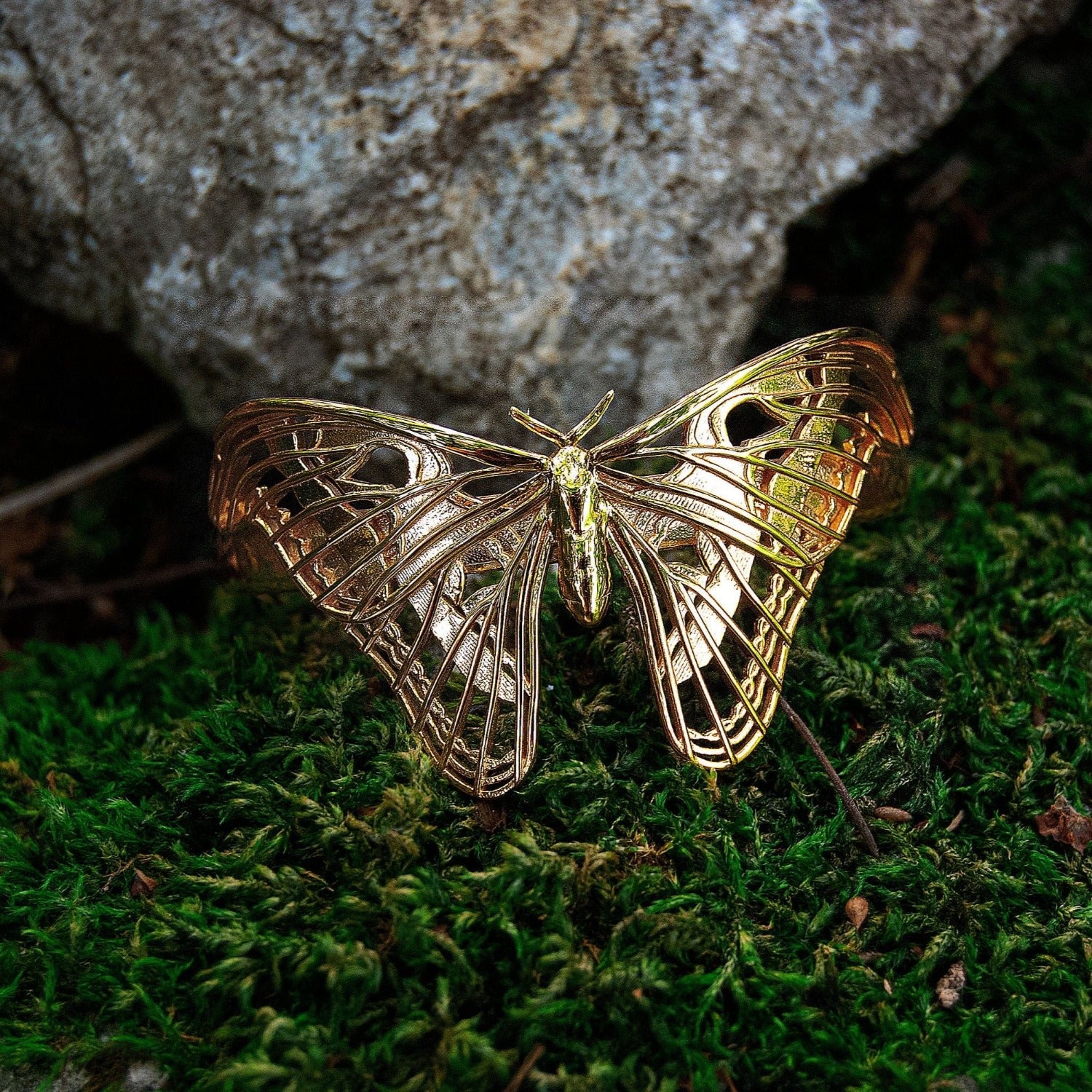 Close-up of the Atlas Moth Bracelet in 14k gold-plated brass, resting against a forest backdrop. The golden moth design gleams with warmth and detail, its sculptural wings contrasting beautifully with the earthy tones of leaves and bark. A striking blend of organic inspiration and refined craftsmanship.