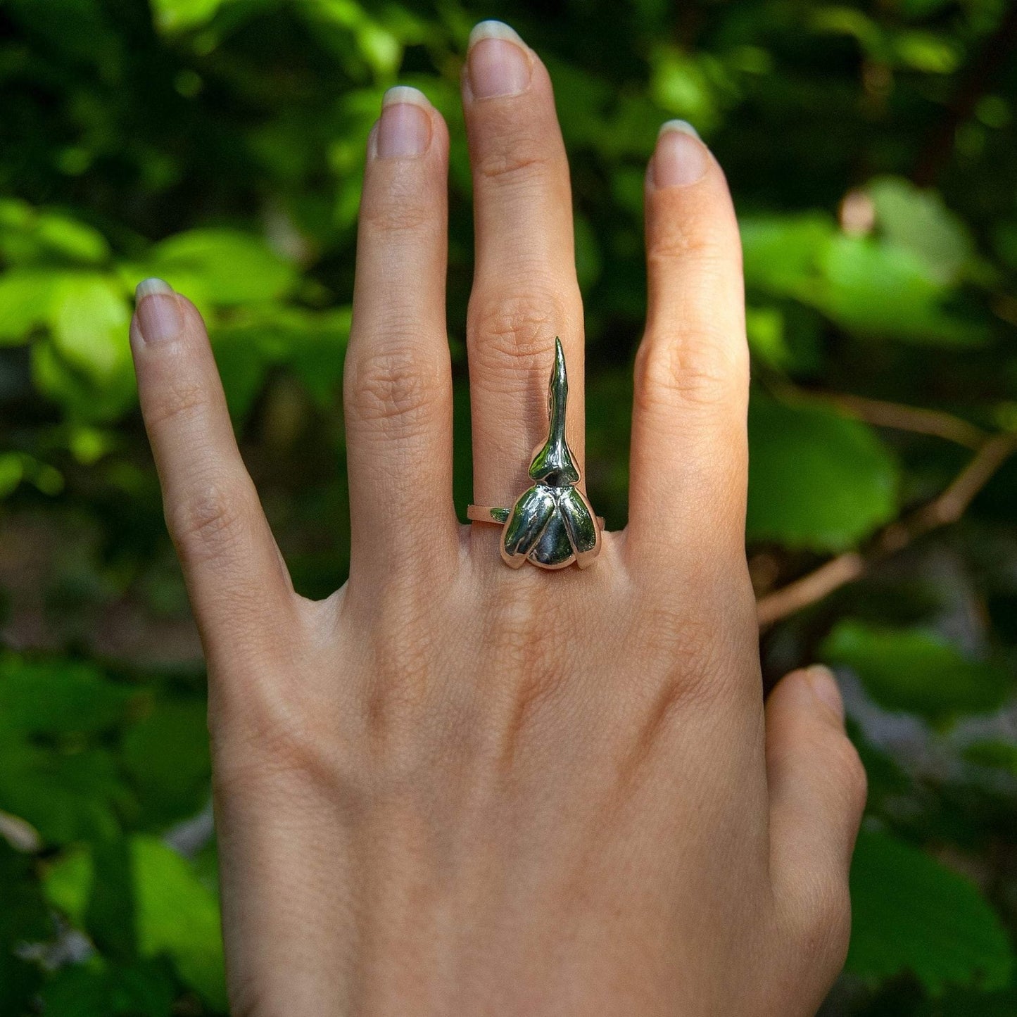 Hercules Beetle Stacking Rings